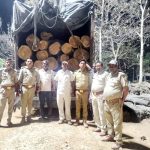 अंतरराज्यीय लकड़ी माफिया गिरोह पर बड़ी कार्रवाई, प्रतिबंधित सांखू लकड़ी से भरा ट्रक पकड़ा